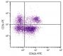 BALB/c mouse splenocytes were stained with Rat Anti-Mouse CD62L-FITC (SB Cat. No. 1705-02) and Rat Anti-Mouse CD3ε-PE (SB Cat. No. 1535-09).