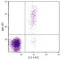 Human peripheral blood lymphocytes were stained with Mouse Anti-Human IgM-APC (SB Cat. No. 9020-11) and Mouse Anti-Human CD19-FITC (SB Cat. No. 9340-02).