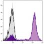 BALB/c mouse bone marrow cells were stained with Rat Anti-Mouse CD11b-APC (SB Cat. No. 1560-11).