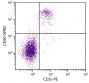 C57BL/6 mouse splenocytes were stained with Rat Anti-Mouse CD90-SPRD (SB Cat. No. 1740-13) and Rat Anti-Mouse CD3ε-PE (SB Cat. No. 1535-09).