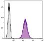 Mouse pre-B cell line 18-81 was stained with Rat Anti-Mouse CD71-FITC (SB Cat. No. 1720-02).