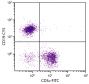 BALB/c mouse splenocytes were stained with Rat Anti-Mouse CD19-CY5 (SB Cat. No. 1575-15) and Rat Anti-Mouse CD3ε-FITC (SB Cat. No. 1535-02).