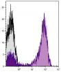 Human peripheral blood lymphocytes were stained with Mouse Anti-Human CD5-UNLB followed by Goat Anti-Mouse IgG<sub>2a</sub>, Human ads-PE/CY7 (SB Cat. No. 1080-17).