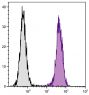 C57BL/6 mouse splenocytes were stained with Rat Anti-Mouse CD45-UNLB (SB Cat. No. 1660-01) followed by Goat Anti-Rat IgG(H+L), Mouse ads-BIOT (SB Cat. No. 3050-08) followed by Streptavidin-FITC (SB Cat. No. 7100-02).