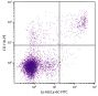 BALB/c mouse splenocytes were stained with Rat Anti-Mouse CD11b-PE (SB Cat. No. 1561-09) and Rat Anti-Mouse Ly-6G/Ly-6C-FITC (SB Cat. No. 1900-02).