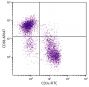 C57BL/6 mouse splenocytes were stained with Rat Anti-Mouse CD38-AF647 (SB Cat. No. 1640-31) and Rat Anti-Mouse CD3ε-FITC (SB Cat. No. 1535-02).