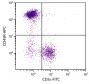 BALB/c mouse splenocytes were stained with Rat Anti-Mouse CD45R-APC (SB Cat. No. 1665-11) and Rat Anti-Mouse CD3ε-FITC (SB Cat. No. 1535-02).