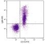 BALB/c mouse splenocytes were stained with Rat Anti-Mouse IgM-APC (SB Cat. No. 1140-11) and Rat Anti-Mouse CD19-FITC (SB Cat. No. 1575-02).