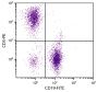 BALB/c mouse splenocytes were stained with Rat Anti-Mouse CD5-PE (SB Cat. No. 1547-09) and Rat Anti-Mouse CD19-FITC (SB Cat. No. 1575-02).