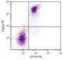 BALB/c mouse splenocytes were stained with Rat Anti-Mouse Kappa-PE (SB Cat. No. 1180-09) and Rat Anti-Mouse CD19-FITC (SB Cat. No. 1575-02).