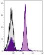 C57BL/6 mouse splenocytes were stained with Rat Anti-Mouse CD45R-PE/CY5.5 (SB Cat. No. 1665-16).