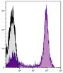 Human peripheral blood lymphocytes were stained with Mouse Anti-Human CD5-UNLB followed by Goat Anti-Mouse IgG<sub>2a</sub>, Human ads-AF647 (SB Cat. No. 1080-31).