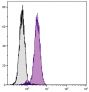 Human T cell leukemia cell line Jurkat was intracellularly stained with Mouse Anti-Human Bcl-xL-FITC (SB Cat. No. 10030-02).