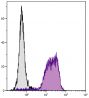 BALB/c mouse bone marrow cells were stained with Rat Anti-Mouse CD11b-BIOT (SB Cat. No. 1561-08) followed by Streptavidin-FITC (SB Cat. No. 7100-02).