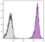 BALB/c mouse splenocytes were stained with Rat Anti-Mouse CD45-PE (SB Cat. No. 1660-09).