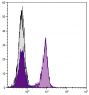 BALB/c mouse splenocytes were stained with Rat Anti-Mouse CD40-UNLB (SB Cat. No. 1645-01) followed by Mouse Anti-Rat IgG<sub>2a</sub>-FITC (SB Cat. No. 3065-02).