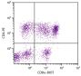 Porcine peripheral blood lymphocytes were stained with Mouse Anti-Porcine CD8α-BIOT (SB Cat. No. 4520-08) and Mouse Anti-Porcine CD4-PE (SB Cat. No. 4515-09) followed by Streptavidin-FITC (SB Cat. No. 7100-02).