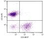 BALB/c mouse splenocytes were stained with Rat Anti-Mouse CD5-BIOT (SB Cat. No. 1547-08) and Rat Anti-Mouse CD19-PE (SB Cat. No. 1575-09) followed by Streptavidin-FITC (SB Cat. No. 7100-02).