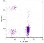 Chicken peripheral blood lymphocytes were stained with Mouse Anti-Chicken CD4-BIOT (SB Cat. No. 8210-08) and Mouse Anti-Chicken CD8α-PE (SB Cat. No. 8220-09) followed by Streptavidin-FITC (SB Cat. No. 7100-02).