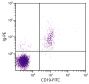 Human peripheral blood lymphocytes were stained with Goat Anti-Human Ig-PE (SB Cat. No. 2010-09) and Mouse Anti-Human CD19-FITC (SB Cat. No. 9340-02).