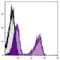 BALB/c mouse splenocytes were stained with Hamster Anti-Mouse TCRβ-SPRD (SB Cat. No. 1785-13).