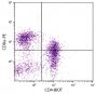 Porcine peripheral blood lymphocytes were stained with Mouse Anti-Porcine CD4-BIOT (SB Cat. No. 4515-08) and Mouse Anti-Porcine CD8α-PE (SB Cat. No. 4520-09) followed by Streptavidin-FITC (SB Cat. No. 7100-02).