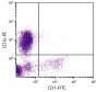 Porcine peripheral blood lymphocytes were stained with Mouse Anti-Porcine CD1-FITC (SB Cat. No. 4500-02) and Mouse Anti-Porcine CD3ε-PE (SB Cat. No. 4510-09).