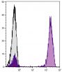 Human peripheral blood lymphocytes were stained with Mouse Anti-Human CD3-UNLB followed by Goat F(ab')<sub>2</sub> Anti-Mouse IgG(H+L), Human ads-PE (SB Cat. No. 1032-09).