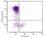 C57BL/6 mouse bone marrow cells were stained with Rat Anti-Mouse Ly-6G/Ly-6C-PE (SB Cat. No. 1900-09) and Rat Anti-Mouse CD19-FITC (SB Cat. No. 1575-02).