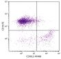 BALB/c mouse splenocytes were stained with Rat Anti-Mouse CD90.2-AF488 (SB Cat. No. 1750-30) and Rat Anti-Mouse CD19-PE (SB Cat. No. 1575-09).