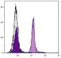 BALB/c mouse splenocytes were stained with Mouse IgA-UNLB (SB Cat. No. 0106-01; gray) and  Mouse Anti-Mouse CD19-UNLB (SB Cat. No. 1576-01) followed by Goat Anti-Mouse IgA-FITC (SB Cat. No. 1040-02)