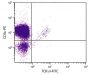 CD-1 mouse mesenteric lymph node cells were stained with Hamster Anti-Mouse TCRγδ-FITC (SB Cat. No. 1780-02) and Rat Anti-Mouse CD3ε-PE (SB Cat. No. 1535-09).