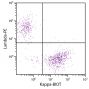 CD19+ human B-lymphocytes were stained with Mouse Anti-Human Kappa-BIOT (SB Cat. No. 9230-08) and Goat F(ab')<sub>2</sub> Anti-Human Lambda, Mouse ads-PE (SB Cat. No. 2073-09) followed by Streptavidin-FITC (SB Cat. No. 7100-02).