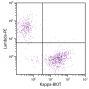 CD19+ human B-lymphocytes were stained with Mouse Anti-Human Kappa-BIOT (SB Cat. No. 9230-08) and Goat F(ab')<sub>2</sub> Anti-Human Lambda, Mouse ads-PE (SB Cat. No. 2073-09) followed by Streptavidin-FITC (SB Cat. No. 7100-02).