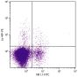 C57BL/6 mouse splenocytes were stained with Mouse Anti-Mouse Ly-49F-PE (SB Cat. No. 1803-09) and Mouse Anti-Mouse NK1.1-FITC (SB Cat. No. 1805-02).