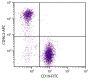 BALB/c mouse splenocytes were stained with Rat Anti-Mouse CD90.2-APC (SB Cat. No. 1750-11) and Rat Anti-Mouse CD19-FITC (SB Cat. No. 1575-02).