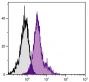 C57BL/6 mouse bone marrow cells were stained with Rat Anti-Mouse CD49e-AF647 (SB Cat. No. 1695-31).