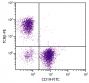 BALB/c mouse splenocytes were stained with Hamster Anti-Mouse TCRβ-PE (SB Cat. No. 1785-09) and Rat Anti-Mouse CD19-FITC (SB Cat. No. 1575-02).