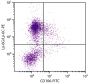 C57BL/6 mouse bone marrow cells were stained with Rat Anti-Mouse CD106-FITC (SB Cat. 1510-02) and Rat Anti-Mouse Ly-6G/Ly-6C-PE (SB Cat. No. 1900-09).