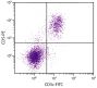 C57BL/6 mouse splenocytes were stained with Rat Anti-Mouse CD5-PE (SB Cat. No. 1546-09) and Rat Anti-Mouse CD3ε-FITC (SB Cat. No. 1535-02).