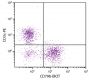 BALB/c mouse splenocytes were stained with Hamster Anti-Mouse CD79b-BIOT (SB Cat. No. 1830-08) and Rat Anti-Mouse CD3ε-PE (SB Cat. No. 1535-09) followed by Streptavidin-FITC (SB Cat. No. 7100-02).