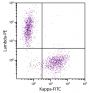 CD19+ human B-lymphocytes were stained with Mouse Anti-Human Kappa-FITC (SB Cat. No. 9230-02) and Goat F(ab')<sub>2</sub> Anti-Human Lambda, Mouse ads-PE (SB Cat. No. 2073-09).