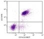 BALB/c mouse splenocytes were stained with Rat Anti-Mouse CD16/32-BIOT (SB Cat. No. 1630-08) and Rat Anti-Mouse CD19-PE (SB Cat. No. 1575-09) followed by Streptavidin-FITC (SB Cat. No. 7100-02).