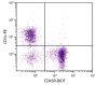 BALB/c mouse splenocytes were stained with Rat Anti-Mouse CD45R-BIOT (SB Cat. No. 1665-08) and Rat Anti-Mouse CD3ε-PE (SB Cat. No. 1535-09) followed by Streptavidin-FITC (SB Cat. No. 7100-02).