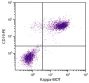 BALB/c mouse splenocytes were stained with Rat Anti-Mouse Kappa-BIOT (SB Cat. No. 1180-08) and Rat Anti-Mouse CD19-PE (SB Cat. No. 1575-09) followed by Streptavidin-FITC (SB Cat. No. 7100-02).