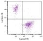 CD19+ human B-lymphocytes were stained with Goat F(ab')<sub>2</sub> Anti-Human Lambda, Mouse ads-PE (SB Cat. 2073-09) and Goat F(ab')<sub>2</sub> Anti-Human Kappa-FITC (SB Cat. No. 2062-02).