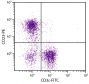 BALB/c mouse splenocytes were stained with Rat Anti-Mouse CD23-PE (SB Cat. No. 1585-09L) and Rat Anti-Mouse CD3ε-FITC (SB Cat. No. 1535-02).