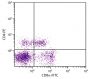 Porcine peripheral blood lymphocytes were stained with Mouse Anti-Porcine CD8α-FITC (SB Cat. No. 4520-02) and Mouse Anti-Porcine CD4-PE (SB Cat. No. 4515-09).