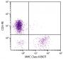 Chicken peripheral blood lymphocytes were stained with Mouse Anti-Chicken MHC Class II-BIOT (SB Cat. No. 8350-08) and Mouse Anti-Chicken CD3-PE (SB Cat. No. 8200-09) followed by Streptavidin-FITC (SB Cat. No. 7100-02).