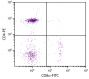 Chicken peripheral blood lymphocytes were stained with Mouse Anti-Chicken CD8α-FITC (SB Cat. No. 8390-02) and Mouse Anti-Chicken CD4-PE (SB Cat. No. 8210-09).